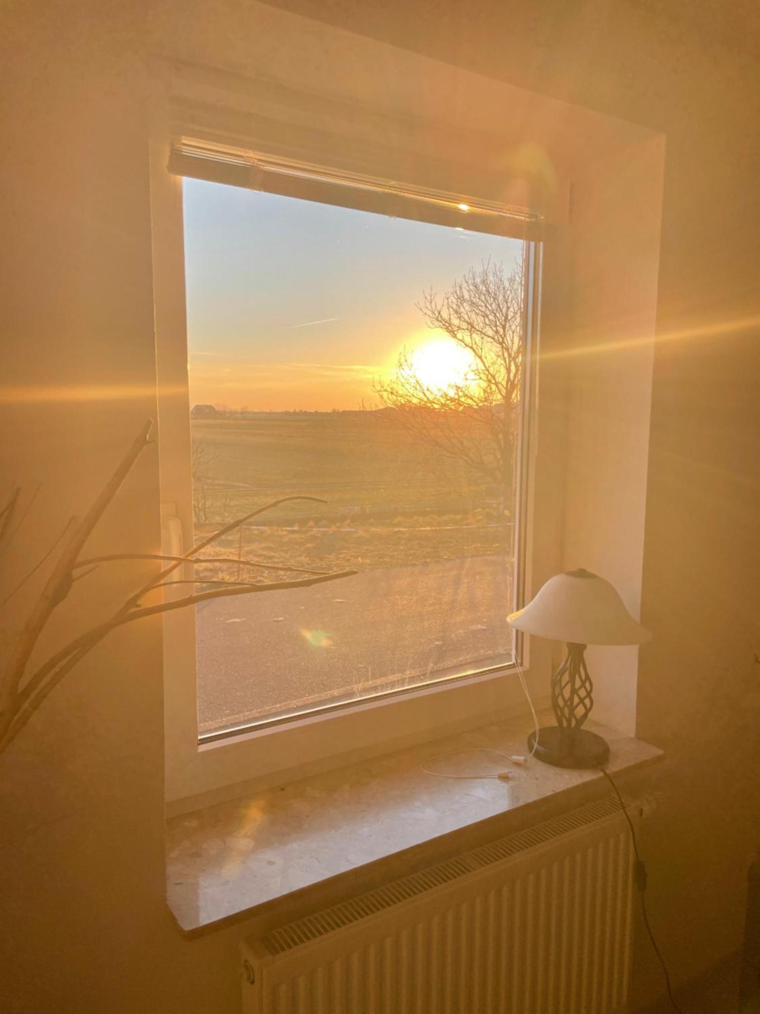 Ferienwohnung Watt'N Deich Nordstrand Buitenkant foto